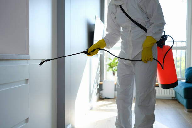 Best Residential Mold Remediation in Coral Springs, FL